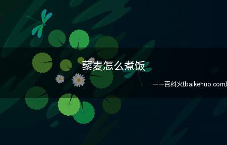藜麦怎么煮饭