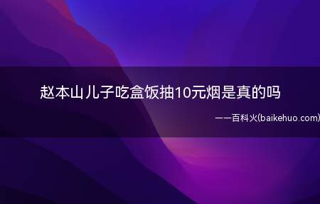 赵本山儿子吃盒饭抽10元烟是真的吗