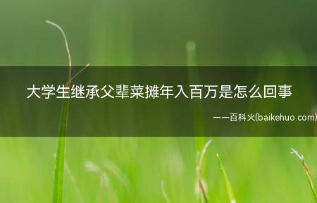 大学生继承父辈菜摊年入百万是怎么回事