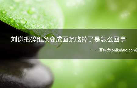 刘谦把碎纸条变成面条吃掉了是怎么回事