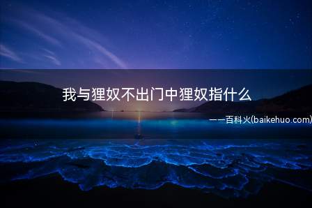 《十一月四日风雨大作二首》溪柴火软蛮毡暖,我与狸奴不出门