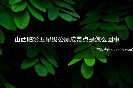 山西临汾五星级公厕成景点是怎么回事