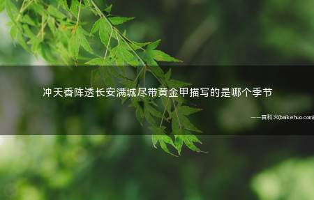 冲天香阵透长安满城尽带黄金甲描写的是哪个季节