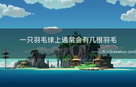 一只羽毛球上通常会有几根羽毛