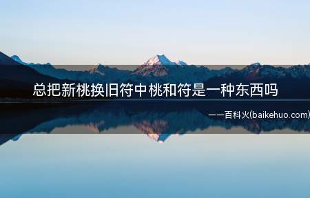 总把新桃换旧符中桃和符是一种东西吗
