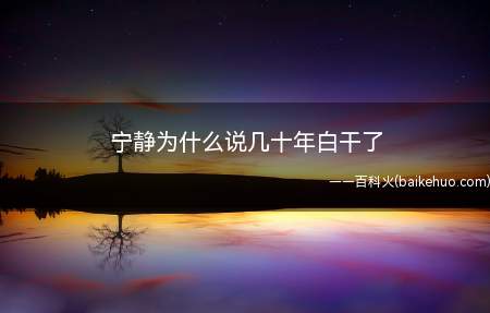 《乘风破浪的姐姐》宁静为什么说几十年白干了是什么梗