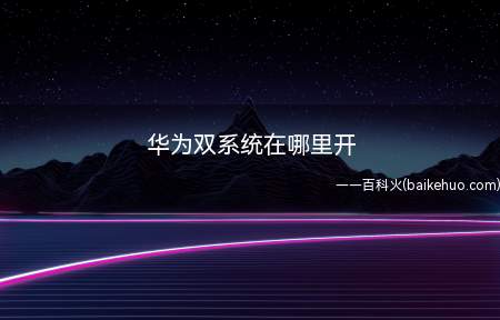 华为双系统在哪里开