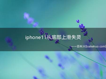 iphone11从底部上滑失灵