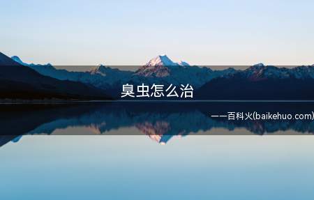 臭虫怎么治