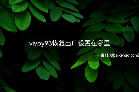 vivoy93恢复出厂设置在哪里