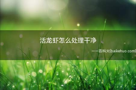 活龙虾怎么处理干净