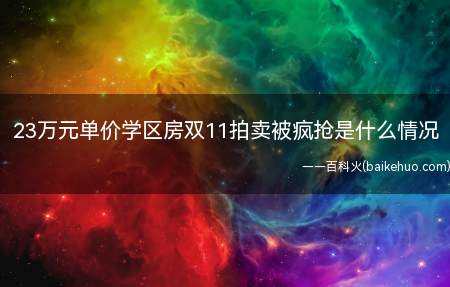 23万元单价学区房双11拍卖被疯抢是什么情况