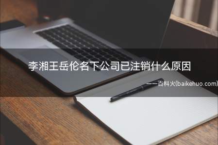 李湘王岳伦名下公司已注销什么原因