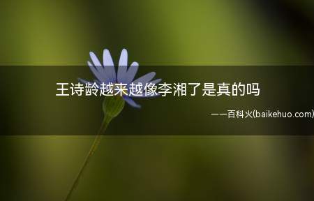 王诗龄越来越像李湘了是真的吗（王诗龄越来越像李湘了是真的吗 10岁生日照片）