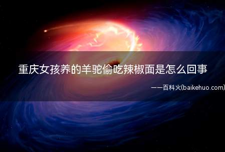 重庆女孩养的羊驼偷吃辣椒面是怎么回事