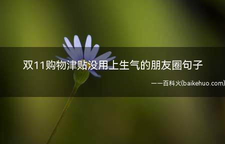 双11购物津贴没用上生气的朋友圈句子