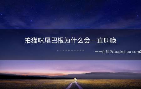 拍猫咪尾巴根为什么会一直叫唤