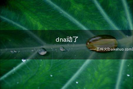 dna动了是什么梗