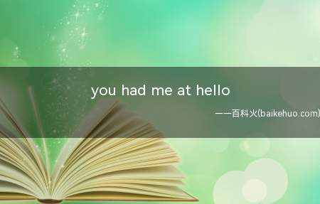 you had me at hello是什么梗