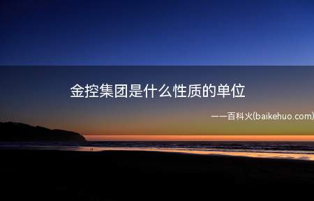 金控集团是什么性质的单位