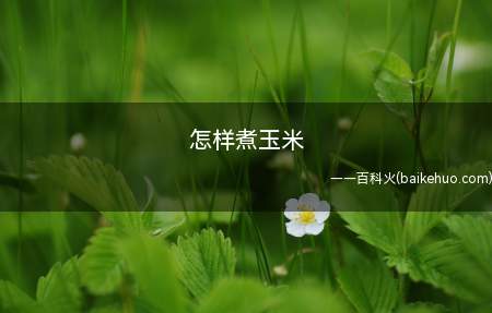怎样煮玉米