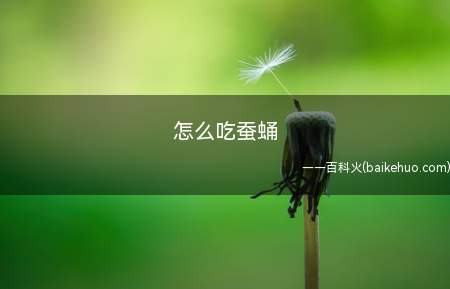 怎么吃蚕蛹