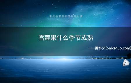 雪莲果什么季节成熟