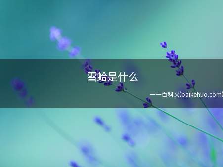 雪蛤是什么
