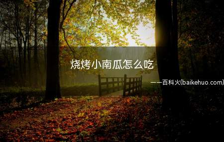 烧烤小南瓜怎么吃