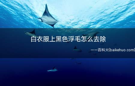 白衣服上黑色浮毛怎么去除