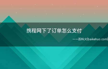 携程网下了订单怎么支付(对网络平台携程网订单进行支付)