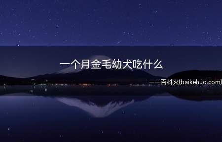 一个月金毛幼犬吃什么(一个月金毛需要吃一些营养物质高)