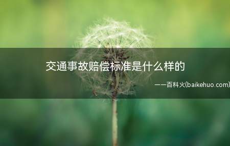 交通事故赔偿标准是什么样的(交通事故赔偿标准是什么)