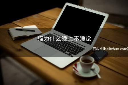 猫为什么晚上不睡觉(猫咪夜晚不睡觉是它野外生存留下的习性)
