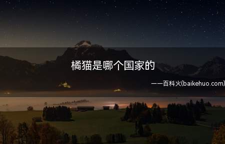 橘猫是哪个国家的(橘猫世界各地都有,并不特定属于某一个国家)