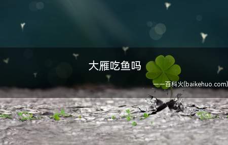 大雁吃鱼吗(大雁是出色的空中旅行家)
