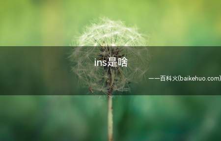 ins是啥(ins全称Instagram,是一款应用于移动端上的应用软件)