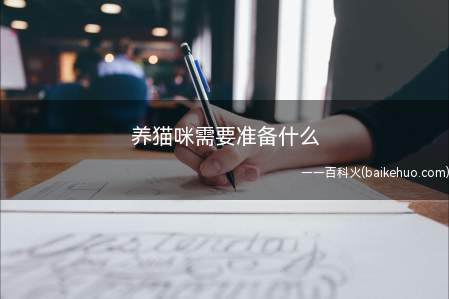 养猫咪需要准备什么(养猫咪需要注意很多东西)