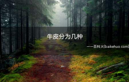 牛皮分为几种(二层牛皮和二层皮有什么区别)