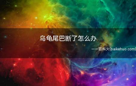乌龟尾巴断了怎么办(乌龟尾巴断了要及时做好治疗以及护理工作)