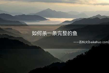 如何杀一条完整的鱼(有的人不会杀鱼,教大家如何来杀活鱼)