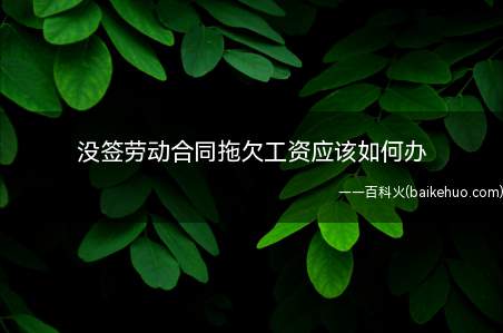 没签劳动合同拖欠工资的,劳动者可以向人民法院提起诉讼吗