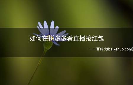 如何在拼多多看直播抢红包(拼多多里看直播,可以抢红包)