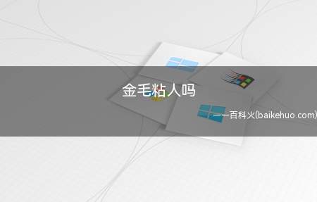 金毛粘人吗(金毛犬需要主人时刻的陪伴)