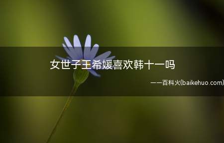 女世子王希媛喜欢韩十一吗（女世子王希媛喜欢韩十一吗 结局是什么）