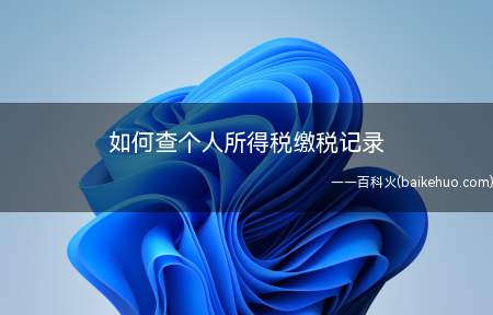 如何查个人所得税缴税记录