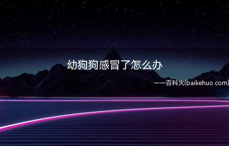 幼狗狗感冒了怎么办(引起幼狗感冒的原因可能会有很多)