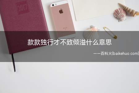 款款独行才不致倾溢什么意思（款款独行,才不致倾溢的意思）