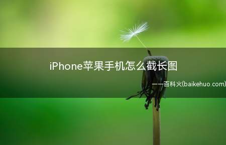 iPhone苹果手机怎么截长图