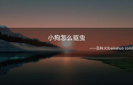 小狗怎么驱虫(狗狗一般在20)